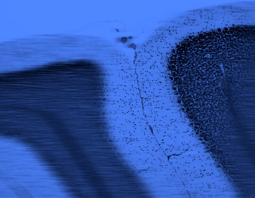 Mind optimization
